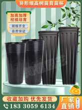 Ě�ȸ���������I�B�����籭�Ӻ����籭�������ϠI�B�������跽��