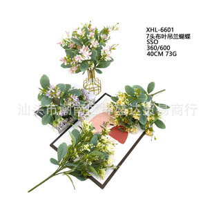 ����ֲ����滨 �ٺϻ�ɏ���� �Ҿ�����[�O�@���쾰��ďS�����l