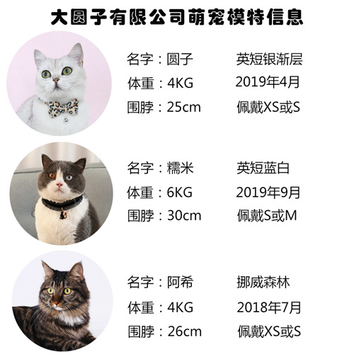模特