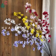 ����滨 ���洹���滨֦����ʽ��ˇ���Ļ�c�b[���zӰ���滨