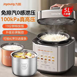 九.阳多功能双内胆煮饭锅高颜值家用3-4人电压力煲电饭煲Y-50Z150