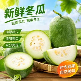 其他蔬菜;其他蔬菜制品;瓜果类