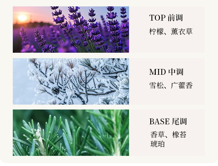 High color value star car perfume 2025 new car home without fire aromatherapy ornaments tremble with fragrance liquid