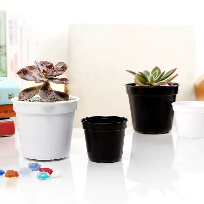 Большой черный маленький белый горшок Круглый пластиковый цветочный горшок Мясистые растения Посадка рассады Перенос цветочный горшок Новый