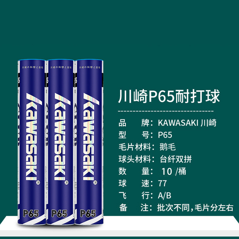 P6510 클럽급 거위털만 장착 - 기간 한정