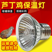 芦丁鸡保温灯跨境取暖爬宠乌龟晒背灯鹦鹉宠物育雏小鸡加热照明灯
