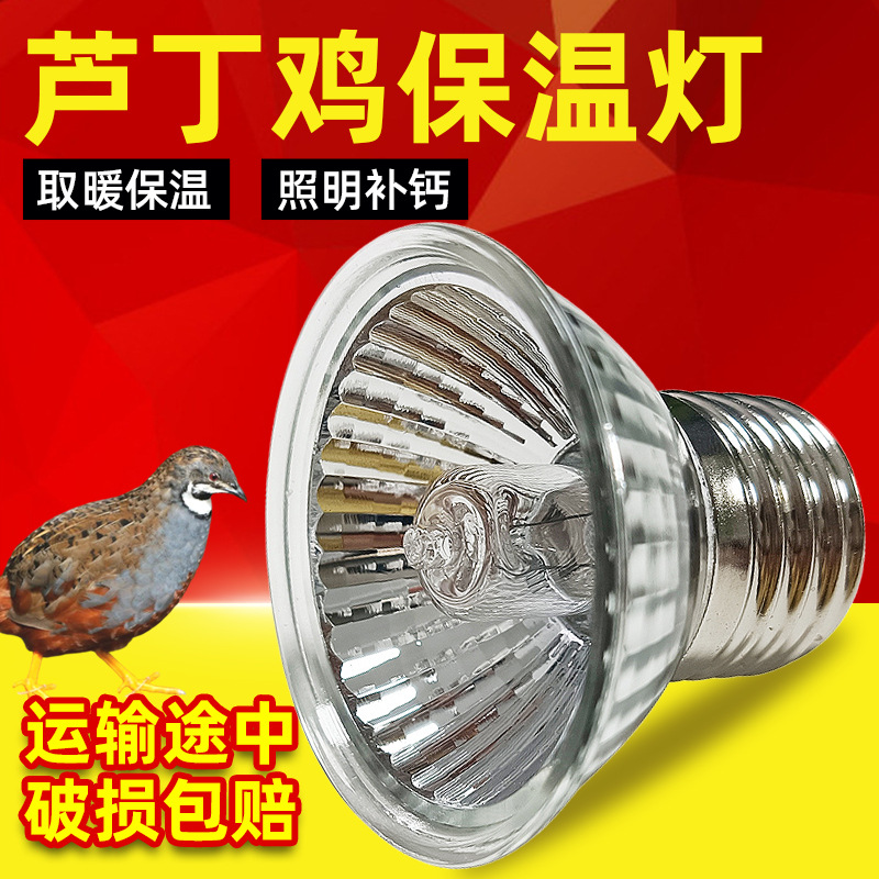 芦丁鸡保温灯跨境取暖爬宠乌龟晒背灯鹦鹉宠物育雏小鸡加热照明灯