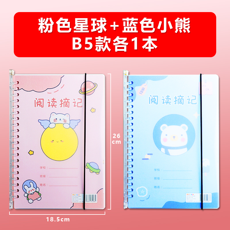 [2 books] b5/pink planet + blue bear