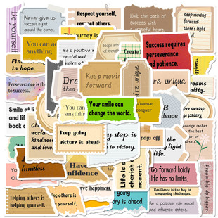 ���R�dTEMU50��/��������˺�Є�־�����N��INS�LӢ�����~�b��N��