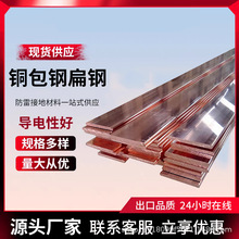防雷镀铜扁钢50*5 接地铜包钢扁钢40*4 铜覆钢扁钢 铜包钢扁铁