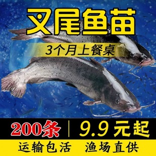 ��β�t�~�絭ˮ���w�Bֳ���c�t�~���Q�~����B��ˮ�^�p�~���~��