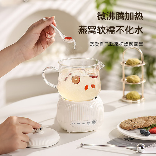 Health pot tea maker mini multifunctional office 55 degree constant temperature flower teapot small fully automatic electric kettle