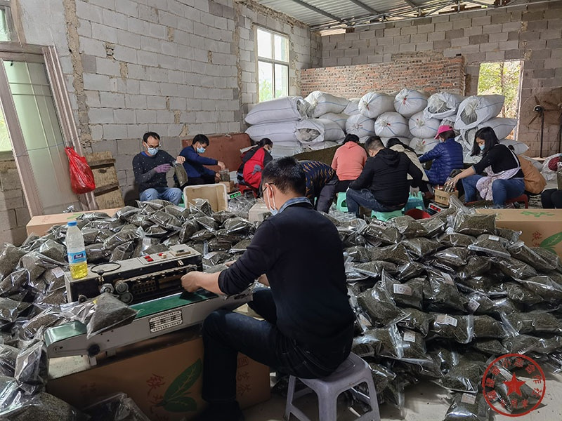 福建省安溪小志茶叶专业合作社