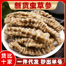 广西虫草参一斤中药材新货无硫地参不老草竹节参煲汤泡酒料