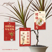 ǧľBokϲcՇbͰԒ쿨