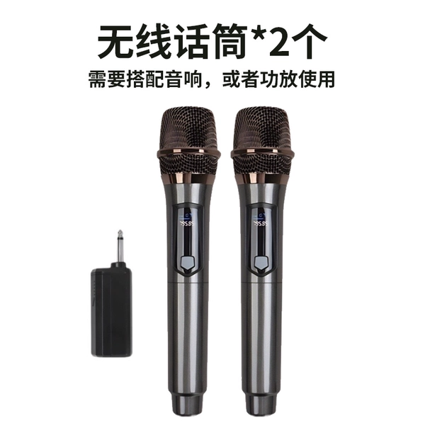 A pair of rechargeable wireless microphones [need to have a speaker or amplifier at home]