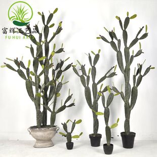 �����������������ϏS�����������������ֲ���쾰����ֲ��������