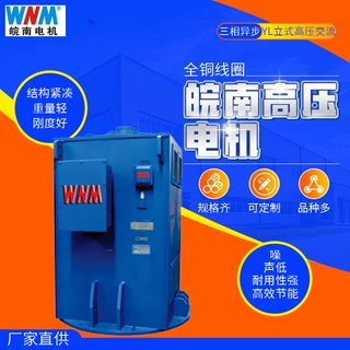 皖南电机马达YL立式高压电动机三相交流异步185kw200kw375kw400kw