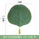 Xinouxi artificial eucalyptus single leaf round leaf eucalyptus leaf Mori DIY single decorative leaf
