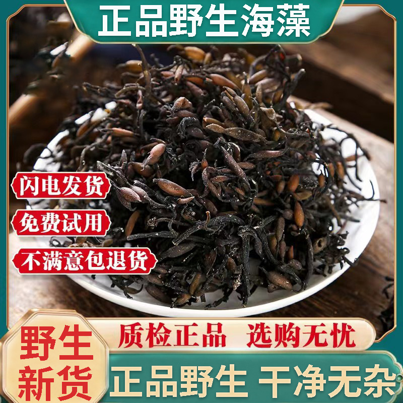 正品野生海藻中药材500g正宗海藻干落首乌菜海藻花海藻粉海带花粉