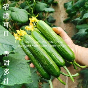 �����ļ��̨�S����ˮ��������߲������ԷN�紺�G����ϸ߮a����