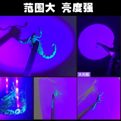 UV fənərlər: for catching scorpions, rechargeable