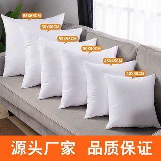 抱枕芯定制工厂抱枕枕芯靠枕内芯等身长方形靠垫内胆订制任意尺寸
