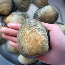 ���N�O�r�����r���r�����Z�� ���r���rؐ����Zؐ�������킀����