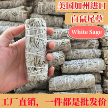 ����β����������White Sage������޹�ȃ������g��Ѫ��ѩ�����}ľ