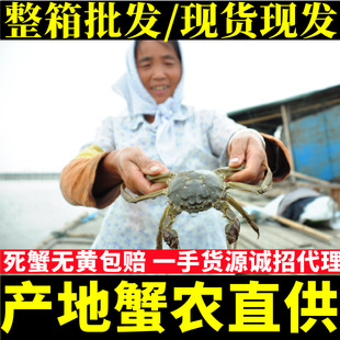 ���K�r����lз���B���N����ֱ�l���lһ�����l