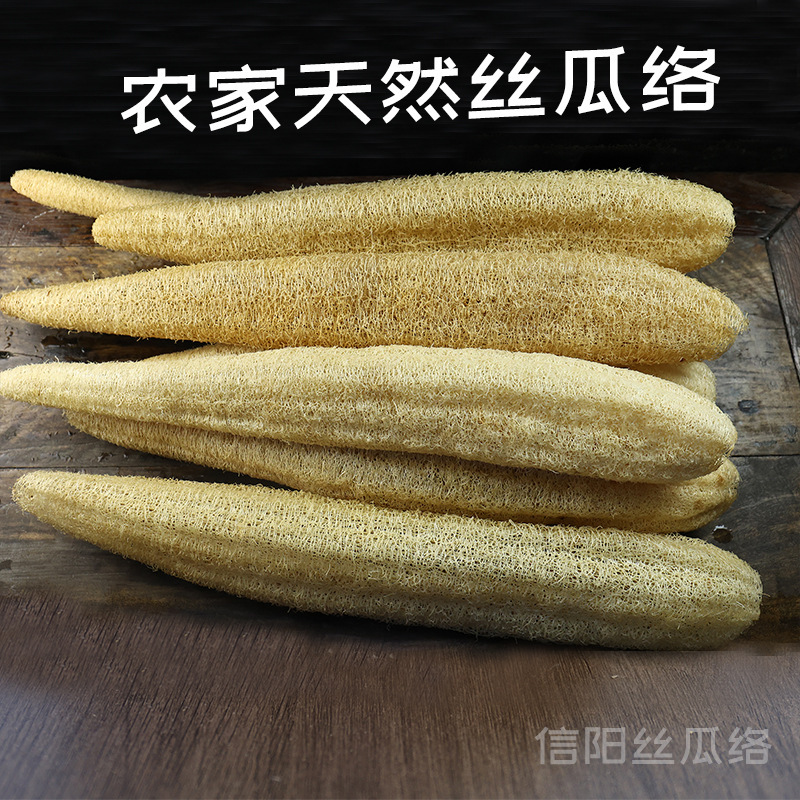 信陽ヘチマポット食器洗いアーティファクト 2025 新着天然ヘチマパルプ全体ヘチマラグノンスティックオイル|undefined