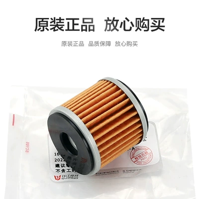 Qianjiang Motorcycle Race R250 Air filter
