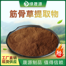 筋骨草提取物 50:1规格 水提筋骨草粉 白毛夏枯草提取物 土克甾酮