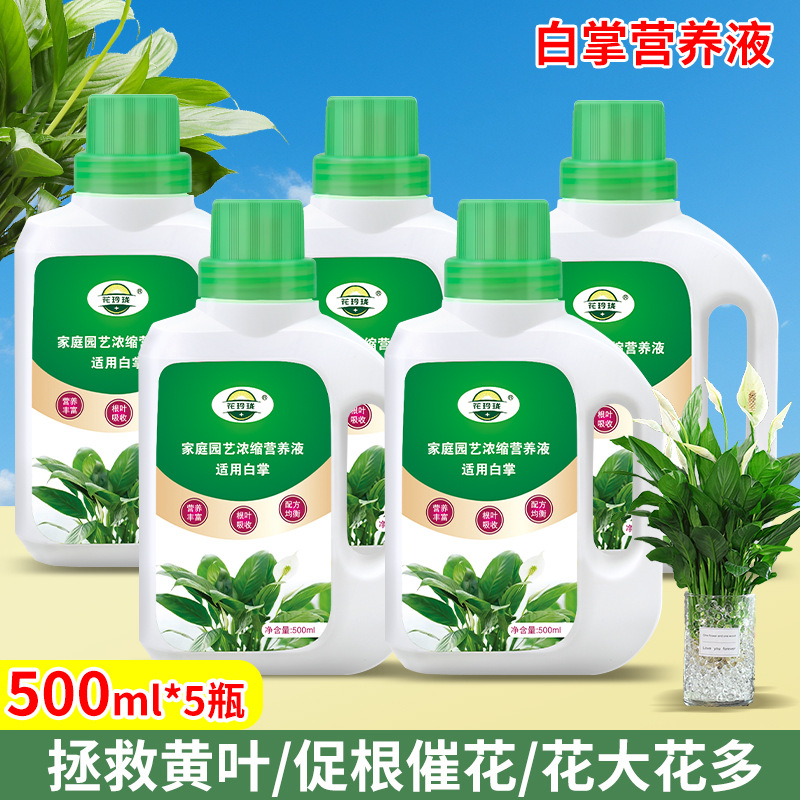 Special nutrient solution for white palms 500ml*5 bottles
