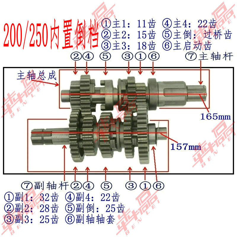 Benlei Zongshen Cb250-A Water-Cooled Built-In Reverse Gear 4+1 Atv Sidecar Motorcycle Engine