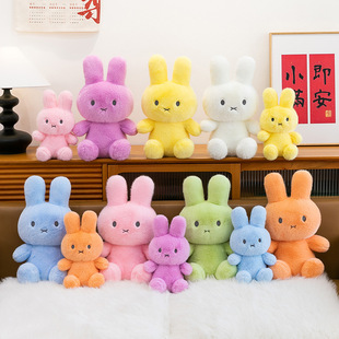 �羳��ͨ�׷�����ë�q���пɐ۲�ɫС����ż������ù��ЏS�����l