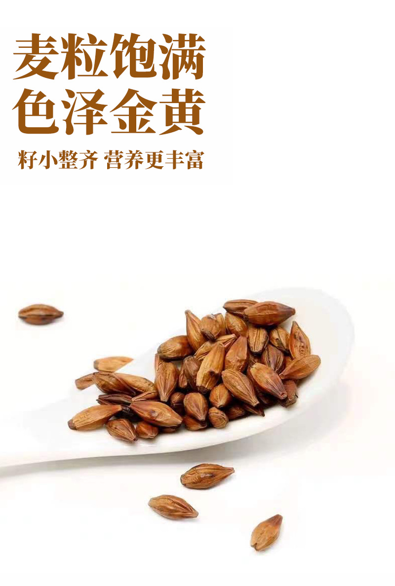 Chen Pi Barley Tea 100 Teabags Roasted Barley with Tangerine Peel Sugar Free Cold Brew Summer Drink 300g quality and texture