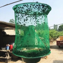 户外绿色网格苍蝇笼 灭蝇器 捕蝇笼 诱捕苍蝇笼