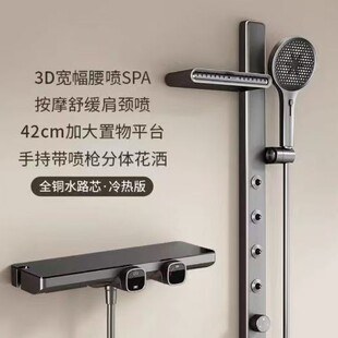 Simple White Showerhead Set for Home Bathroom with Waist Spray, Constant Temperature Shower, Minimalist Gunmetal Gray Showerhead Set Without Top Spray
