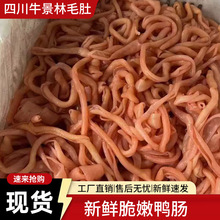 新鲜脆嫩鸭肠1斤装水发鸭肠生冷冻脆鸭肠小串麻辣烫冒菜火锅食材