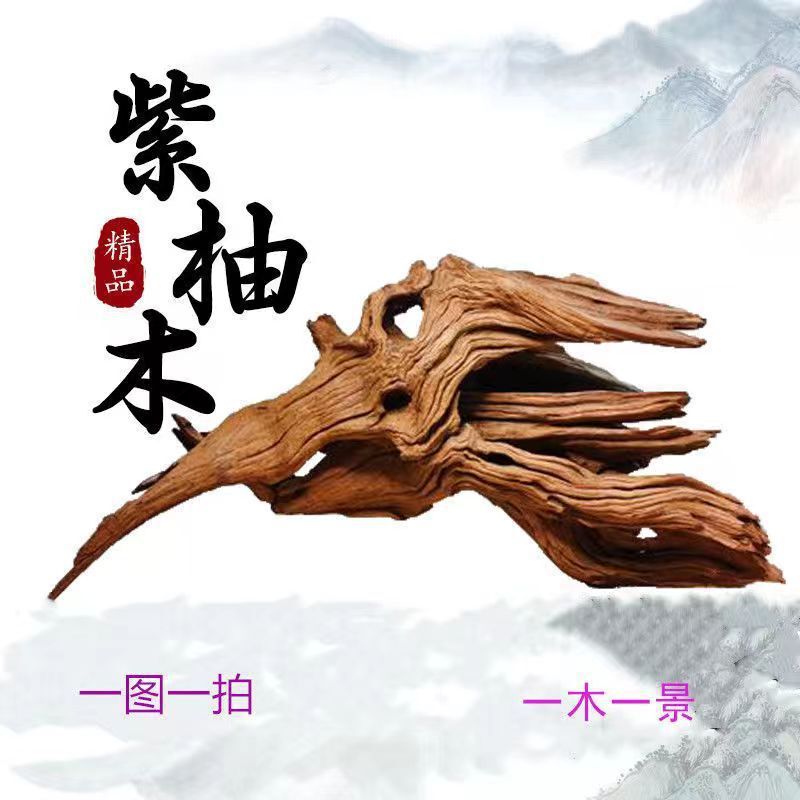 沈木、紫チーク、水槽造園、沈木、カメサンタワー、沈木、多枝アーチ橋、中空天然素材|undefined
