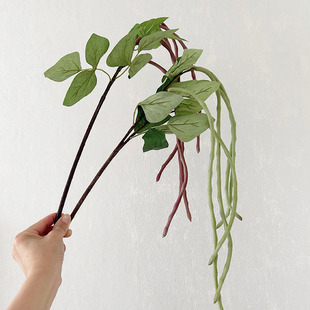 ����Gֲ�L֧�ļ��� �Ϛg���ҾӘӰ巿��ˇ���Ȥζ�b������