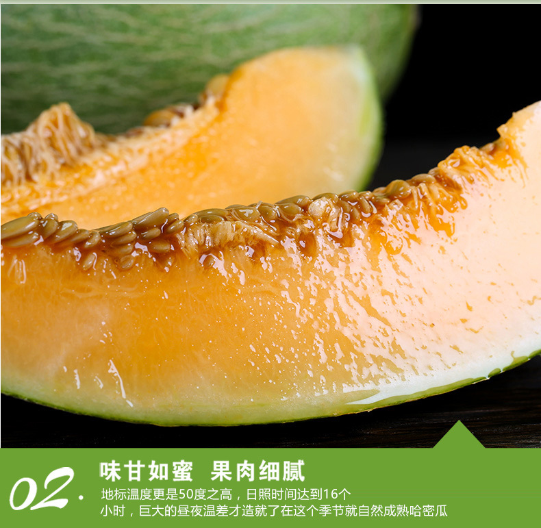哈密瓜2_08.jpg