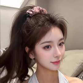 香蕉夹女2025新款大号高级感缎面网红气质女扎头头饰发夹抓夹发饰