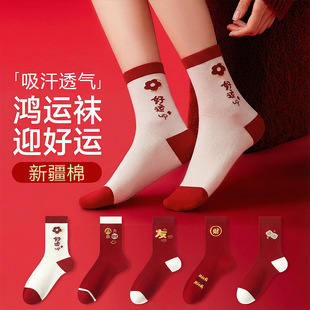 ���Ʊ������m��Ů�����ﶬ������͸��2026������\�tɫ�R���L�m