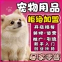 爆款开店创业居家狗粮