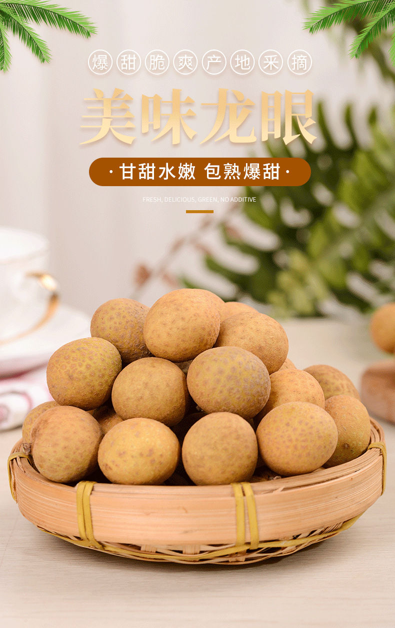 龙眼_01.png