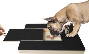 Pet nail file plate trimming scraper trimmer box emery filing polishing pad sensitive dog sandpaper claw grinder