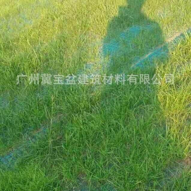 珠海   植物纤维毯  椰丝生态毯  护坡