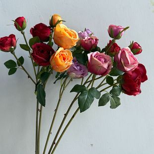 ��Ʒ4�^��Цõ�� �͹�Сõ�� �Ҿӻ�c��������ٻ����� ������